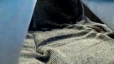 kiwibulge123 online show from May 25, 2026, 7:36 am