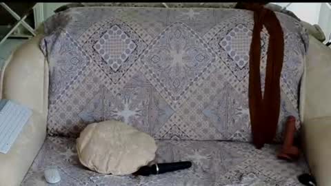 ALYONA online show from July 14, 2026, 2:49 am