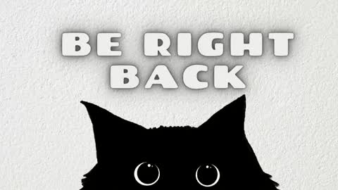   online show from May 3, 2026, 2:50 am