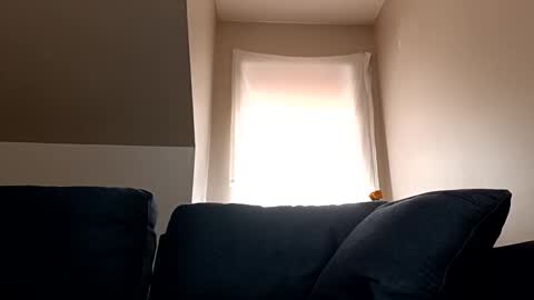 linkutome online show from January 12, 2025, 6:16 pm