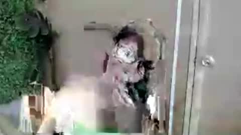 Snapshot of lovely_kimmyxx chatting on July 13, 2026, 7:33 am kimmy online show from July 13, 2026, 7:33 am