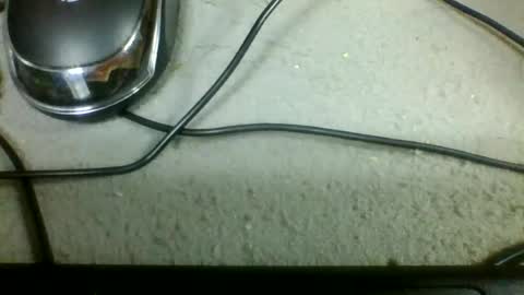 marcela699987 online show from July 5, 2026, 7:37 am