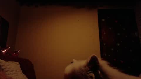 Snapshot of maryberry__ chatting on June 28, 2026, 7:47 am online show from June 28, 2026, 7:47 am