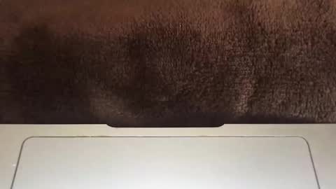 massivehungbigdick online show from June 2, 2026, 9:06 pm