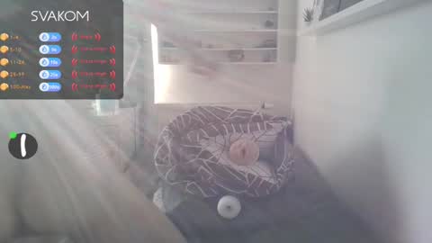 Matyas online show from February 19, 2025, 8:12 am