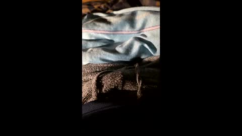 Snapshot of maxhot9977 chatting on March 20, 2026, 6:57 pm maxhot9977 online show from March 20, 2026, 6:57 pm