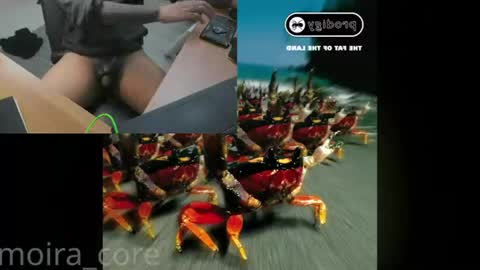 moira_core online show from July 24, 2026, 10:13 am