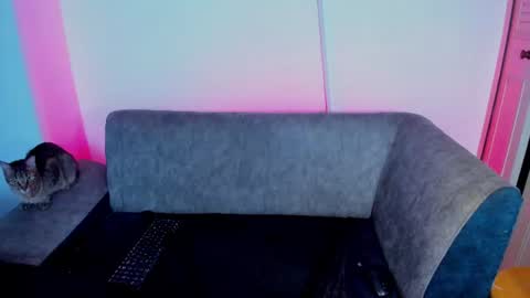 morgana_noctis online show from July 28, 2026, 1:34 am