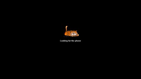 Ninfo Puta online show from June 9, 2026, 10:49 am