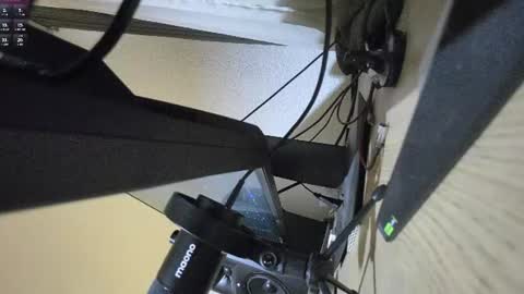 papilovesclits online show from June 21, 2026, 3:47 pm