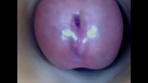 Snapshot of paulainoscente chatting on April 19, 2026, 6:21 pm Paula 18 Aninhos online show from April 19, 2026, 6:21 pm