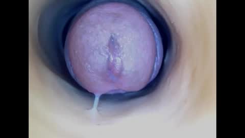 Snapshot of paulainoscente chatting on April 26, 2026, 4:04 pm Paula 18 Aninhos online show from April 26, 2026, 4:04 pm