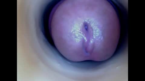 Snapshot of paulainoscente chatting on April 28, 2026, 10:04 pm Paula 18 Aninhos online show from April 28, 2026, 10:04 pm