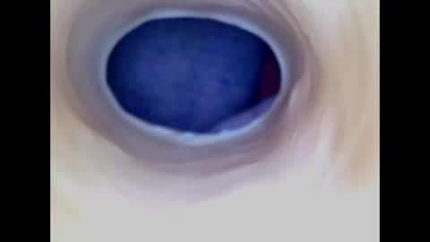 Snapshot of paulainoscente chatting on April 29, 2026, 5:30 pm Paula 18 Aninhos online show from April 29, 2026, 5:30 pm