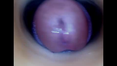 Snapshot of paulainoscente chatting on May 12, 2026, 12:57 pm Paula 18 Aninhos online show from May 12, 2026, 12:57 pm