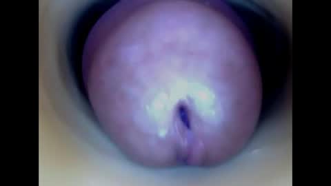 Snapshot of paulainoscente chatting on May 13, 2026, 1:08 pm Paula 18 Aninhos online show from May 13, 2026, 1:08 pm