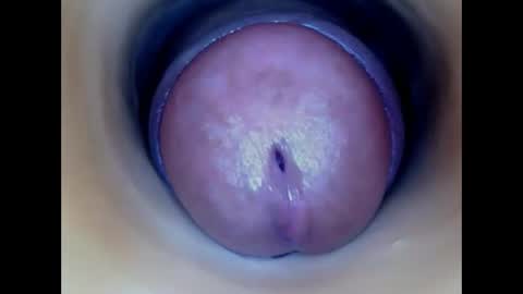 Snapshot of paulainoscente chatting on May 22, 2026, 6:46 pm Paula 18 Aninhos online show from May 22, 2026, 6:46 pm