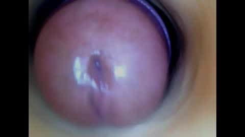 Snapshot of paulainoscente chatting on May 27, 2026, 1:57 am Paula 18 Aninhos online show from May 27, 2026, 1:57 am