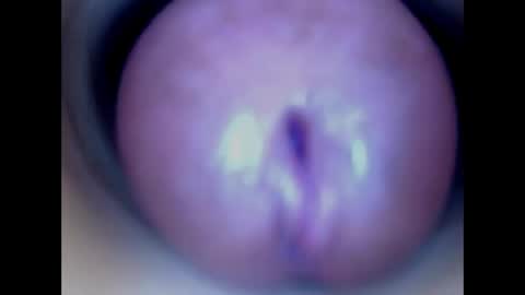 Snapshot of paulainoscente chatting on May 28, 2026, 8:50 pm Paula 18 Aninhos online show from May 28, 2026, 8:50 pm