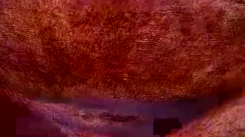 peterpeteropoulos online show from July 20, 2026, 7:05 pm