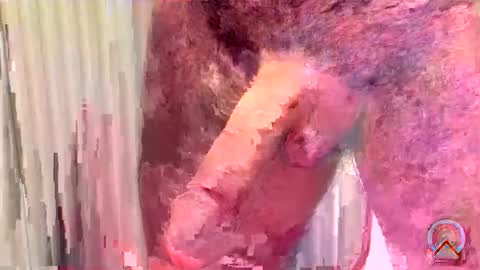 ritto44 online show from May 15, 2026, 11:01 pm