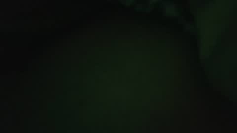 rocce4147 online show from August 7, 2026, 4:58 am