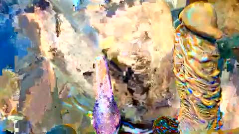 rockdrigo31 online show from May 2, 2026, 6:40 am