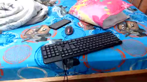 Snapshot of sallie_ chatting on June 29, 2026, 10:48 am naomi online show from June 29, 2026, 10:48 am