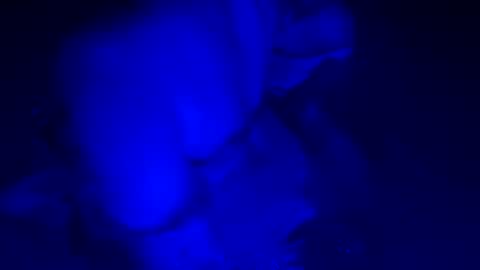 sensualsilhoutte online show from July 11, 2026, 4:04 am