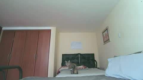 Snapshot of sexyaliceskay chatting on July 27, 2026, 2:24 pm Alice Skay online show from July 27, 2026, 2:24 pm