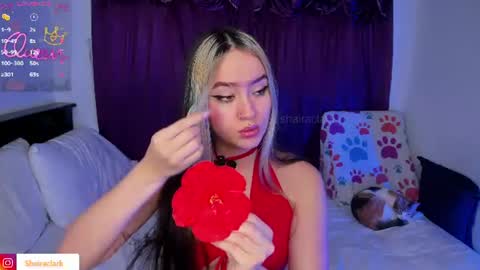 Snapshot of shairaclark_ chatting on July 22, 2026, 3:09 am Shaira Clark online show from July 22, 2026, 3:09 am