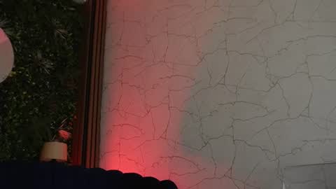 Snapshot of sisi_von_dee chatting on June 27, 2026, 7:30 pm Dee online show from June 27, 2026, 7:30 pm