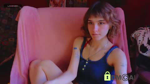 Snapshot of soft_animal chatting on June 12, 2026, 12:04 pm E online show from June 12, 2026, 12:04 pm