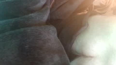 Snapshot of spunfuncumming chatting on July 19, 2026, 6:55 pm spunfuncumming online show from July 19, 2026, 6:55 pm