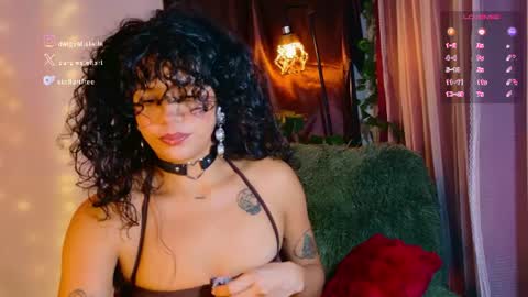 stellart_ online show from June 21, 2026, 2:03 am