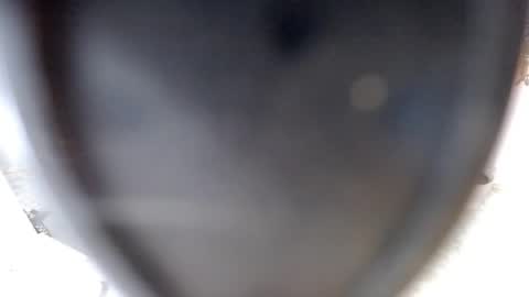 Snapshot of sugarplumy chatting on July 10, 2026, 3:44 am KUROME online show from July 10, 2026, 3:44 am