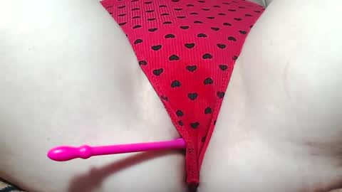 Kitten online show from May 14, 2026, 7:37 am