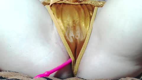 Kitten online show from May 16, 2026, 12:04 pm