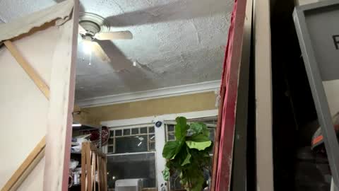 tanhottie666 online show from August 5, 2026, 11:24 am