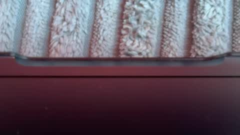 Snapshot of tetebumbum chatting on August 3, 2026, 1:05 pm tetebumbum online show from August 3, 2026, 1:05 pm
