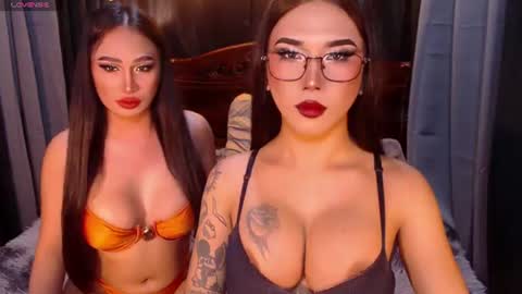 transpornidol online show from July 19, 2026, 5:00 am