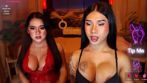 transpornidol online show from July 25, 2026, 4:43 am