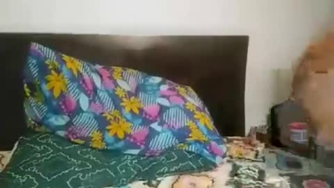 Mario Ramirez online show from July 2, 2026, 1:27 am