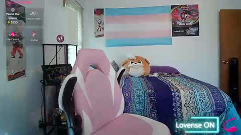 Snapshot of vanfairy526 chatting on July 17, 2026, 4:01 pm vanfairy526 online show from July 17, 2026, 4:01 pm