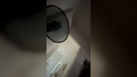 velvetmirror online show from June 24, 2026, 11:53 am