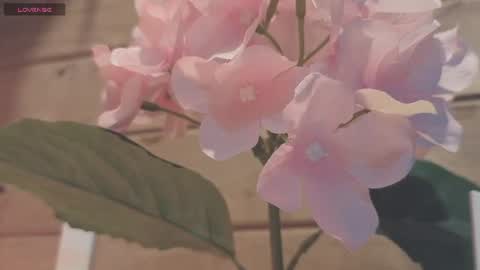 Snapshot of vickyvalencia2 chatting on July 19, 2026, 12:25 am vickyvalencia2 online show from July 19, 2026, 12:25 am