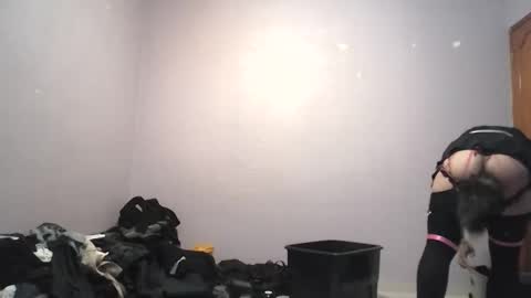 vixensixx online show from June 1, 2026, 6:37 am