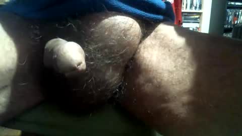 willstrok online show from December 28, 2024, 3:04 pm