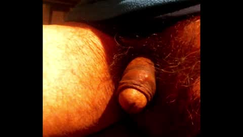 willstrok online show from January 22, 2025, 4:55 am