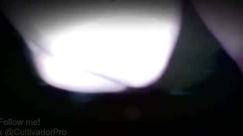 Snapshot of xbalam chatting on July 28, 2026, 3:21 pm Mr Balax online show from July 28, 2026, 3:21 pm